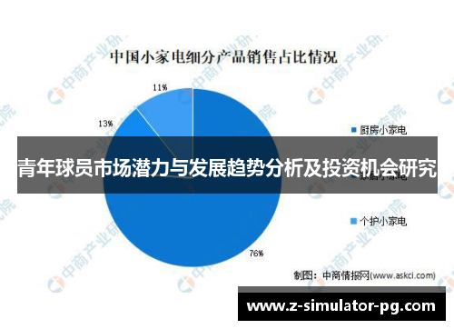 青年球员市场潜力与发展趋势分析及投资机会研究