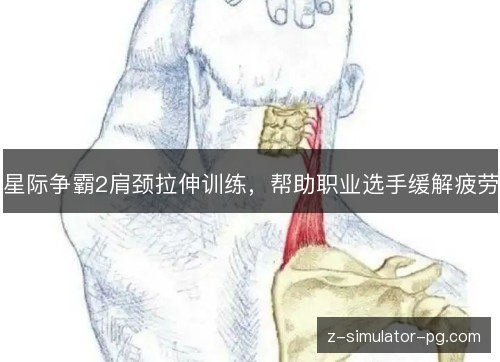 星际争霸2肩颈拉伸训练,帮助职业选手缓解疲劳 星际争霸2肩颈拉伸训练,帮助职业选手缓解疲劳